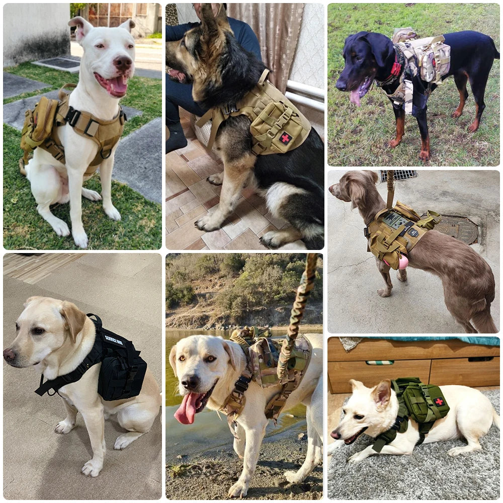 Heavy-Duty Military-Style Dog Harness with Handle for Large Dogs 22