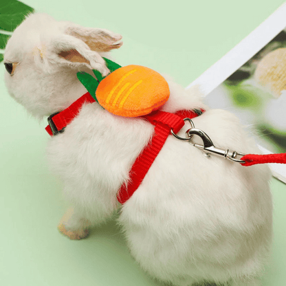 Adjustable Rabbit Harness & Lead Set 8