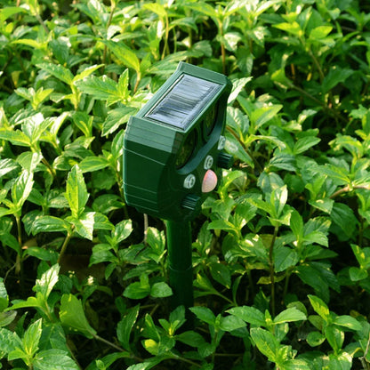 Solar-Powered Ultrasonic Animal Deterrent to Repel Birds, Rodents & Unwanted Cats From Your Garden 13