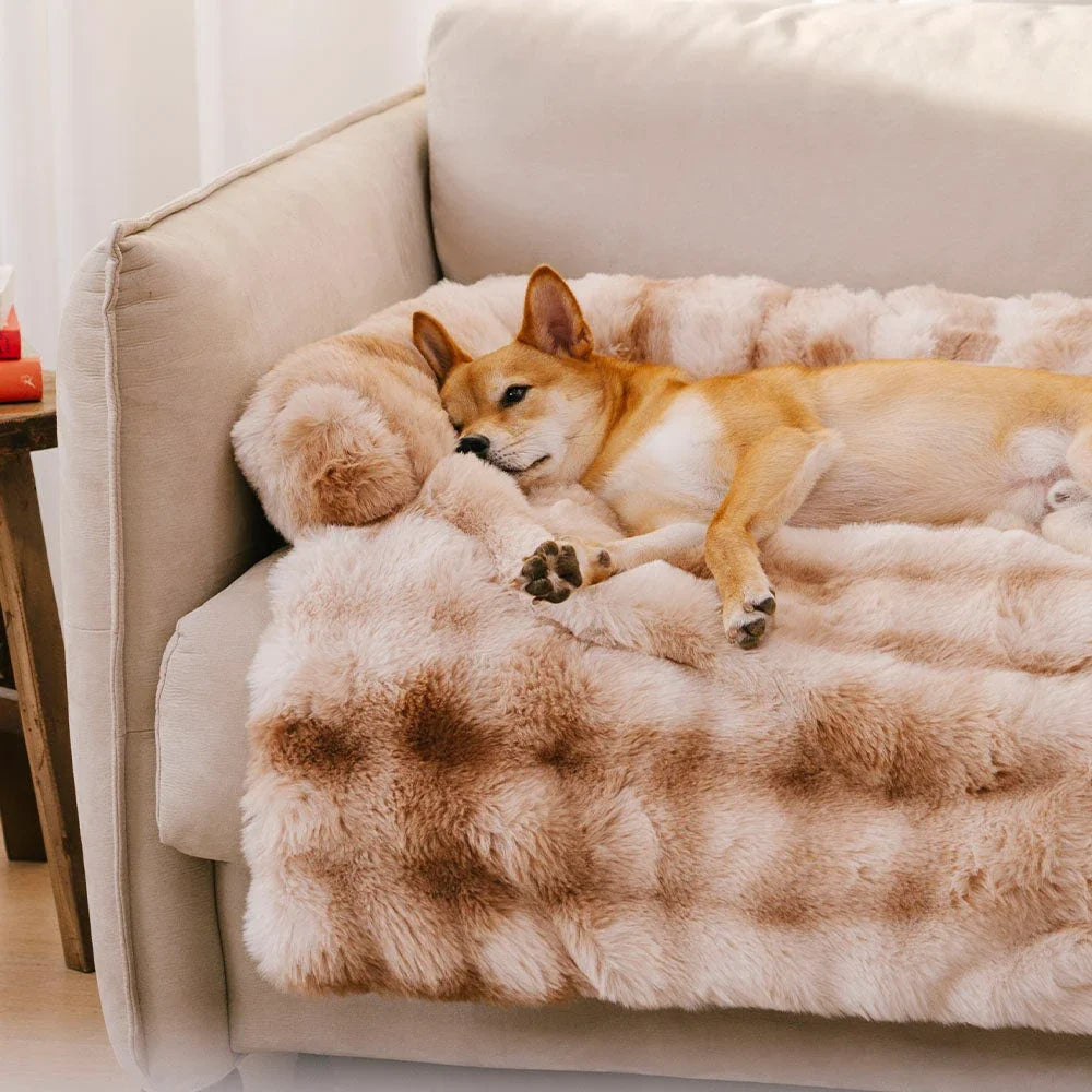Fluffy Calming Dog Bed Sofa Protector with Bolster for Smaller Dogs & Cats 13