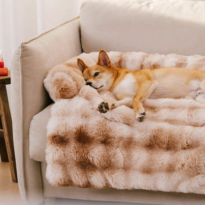 Fluffy Calming Dog Bed Sofa Protector with Bolster for Smaller Dogs & Cats 13