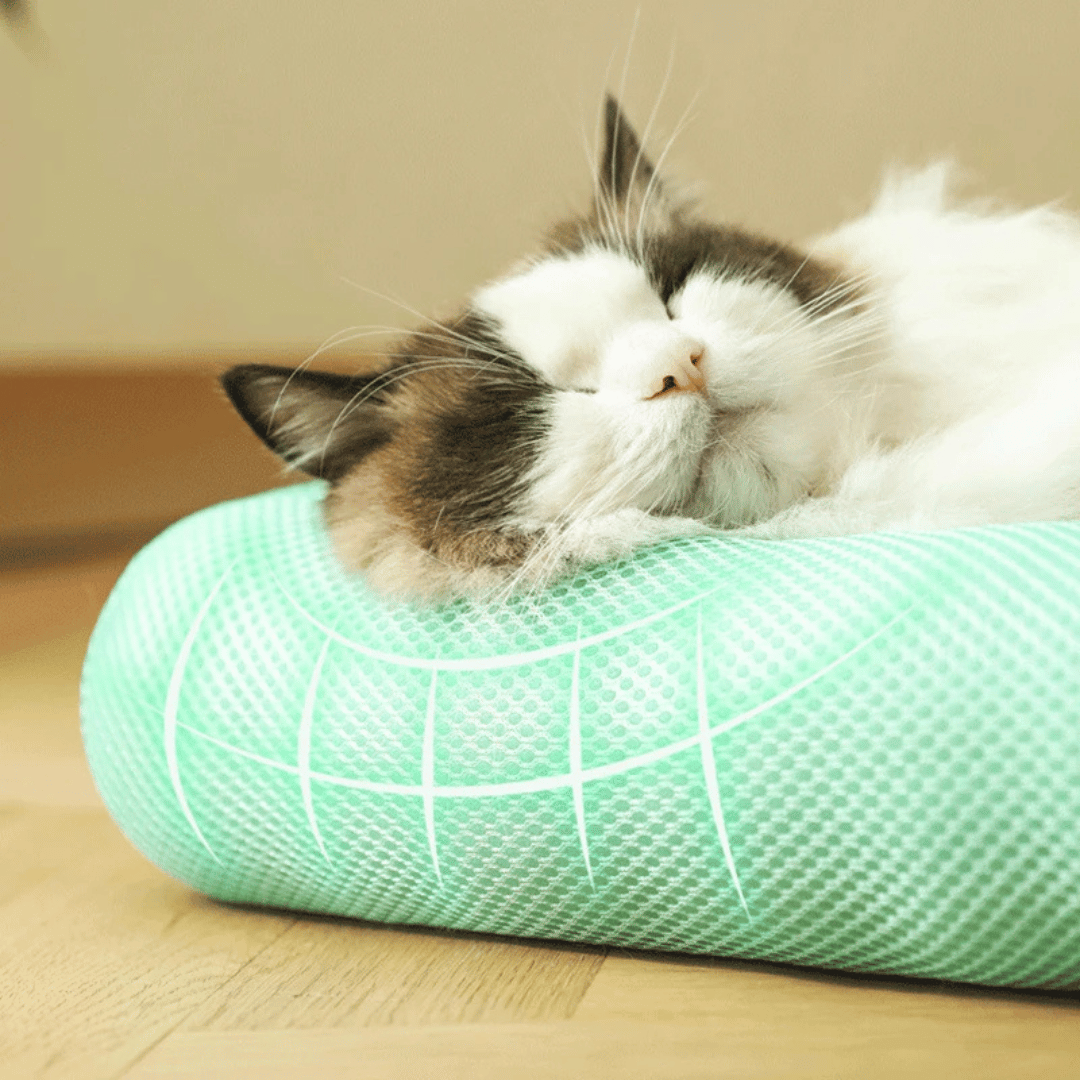 Breathable Summer Pet Cooling Pad | Machine Washable 9