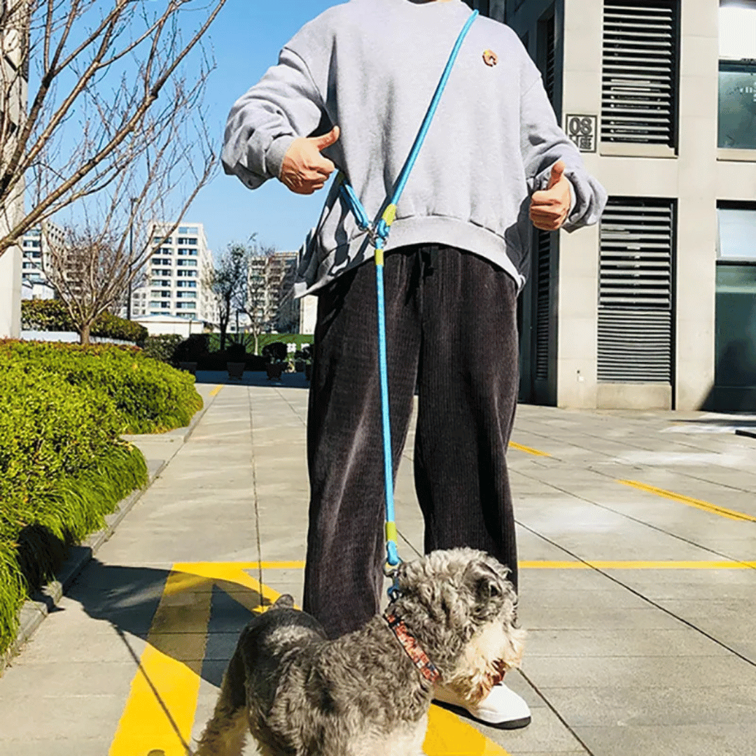 Hands-Free Dog Leash with Sturdy & Reflective Rope | Dog Leash for Running & Large Dogs 12