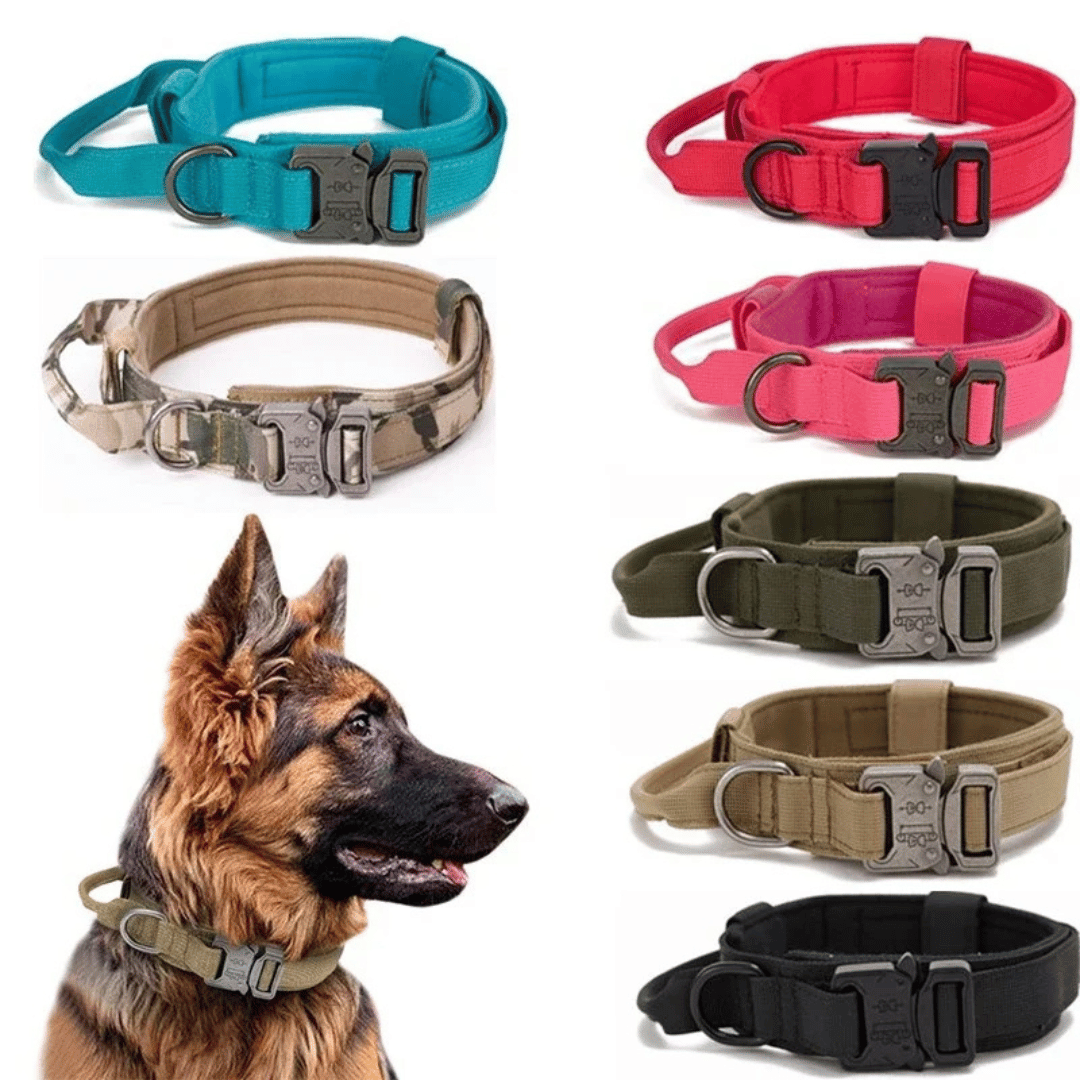 Heavy Duty Military-Style Tactical Dog Collar & Leash for Large & XL Dogs 29