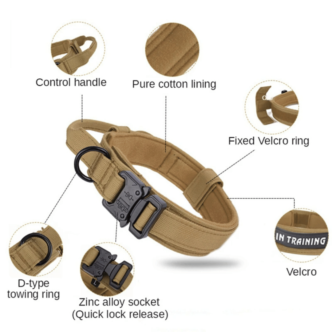 Heavy Duty Military-Style Tactical Dog Collar 13