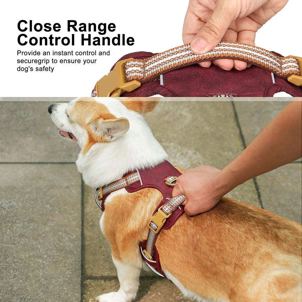 Durable & Supportive Dog Harness with Reflective Straps & Close-Control Handle 3