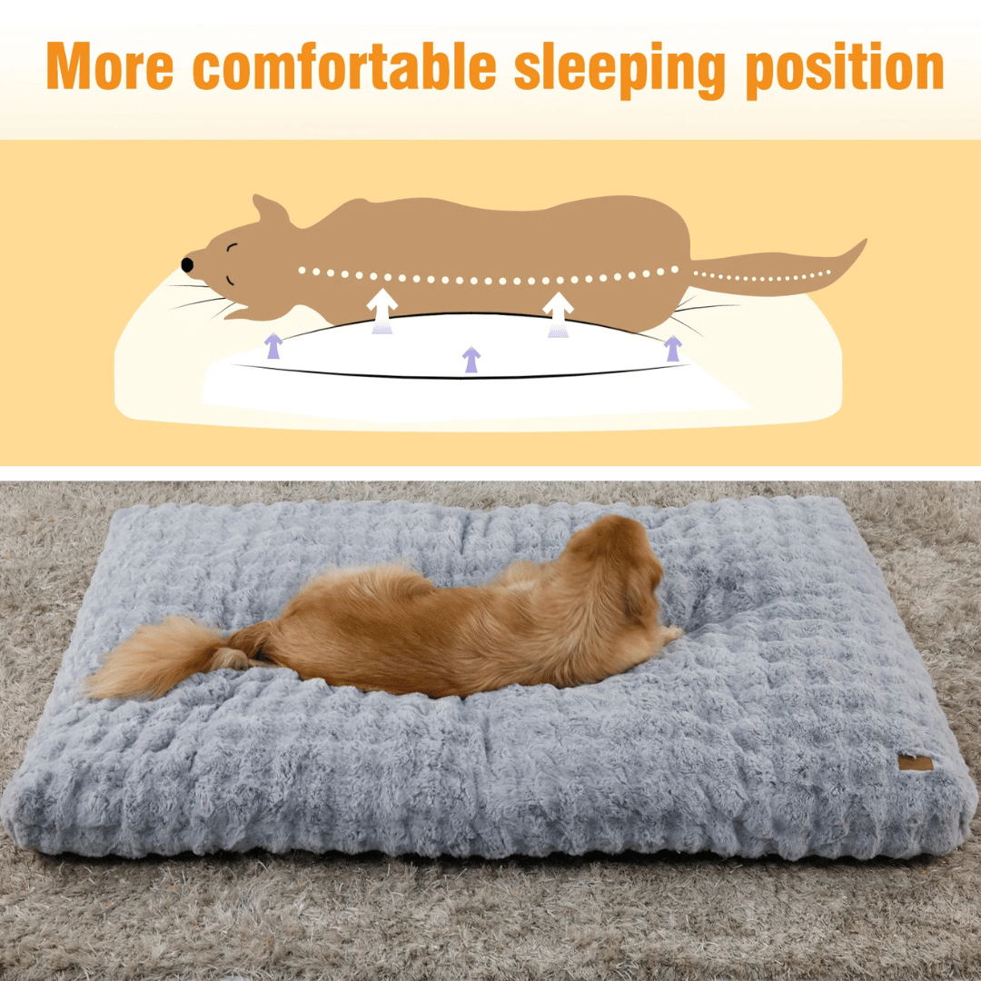 Cloud Comfort Giant & XXL Dog Bed Pillow with Ultra Soft Plush & Washable Cover
