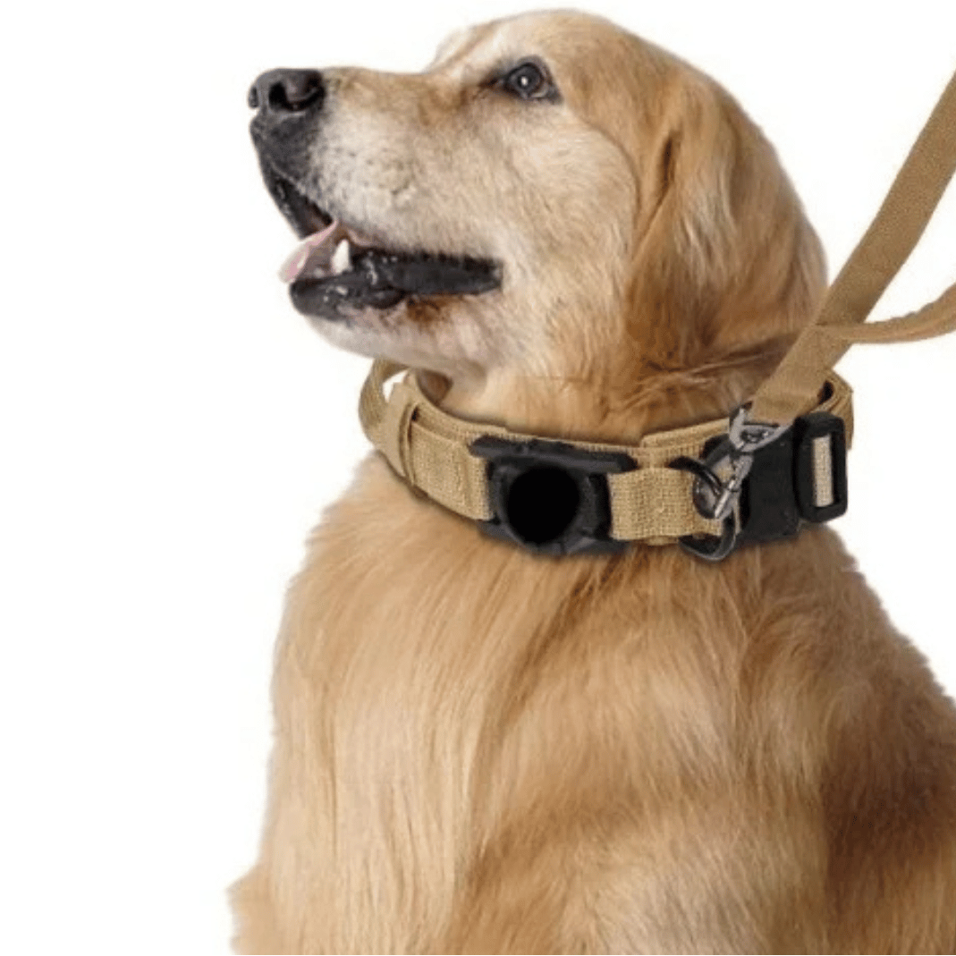 Heavy Duty Military-Style AirTag Holder Dog Collar & Leash | Tactical Air Tag Holder Dog Collar & Lead 9