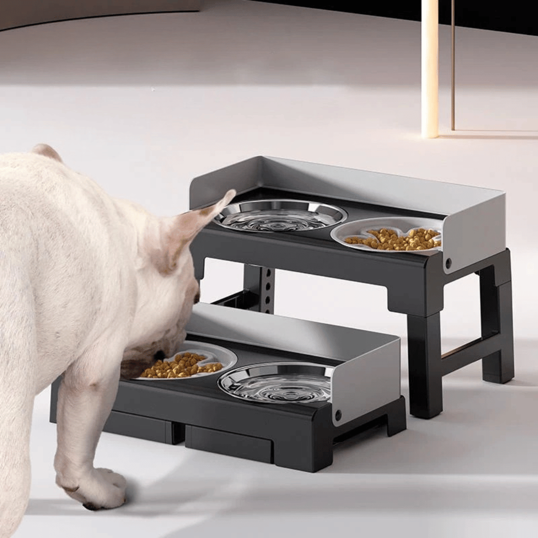 Adjustable Raised Dog Feeding Station with Stainless Steel & Slow-Feeding Bowls 10