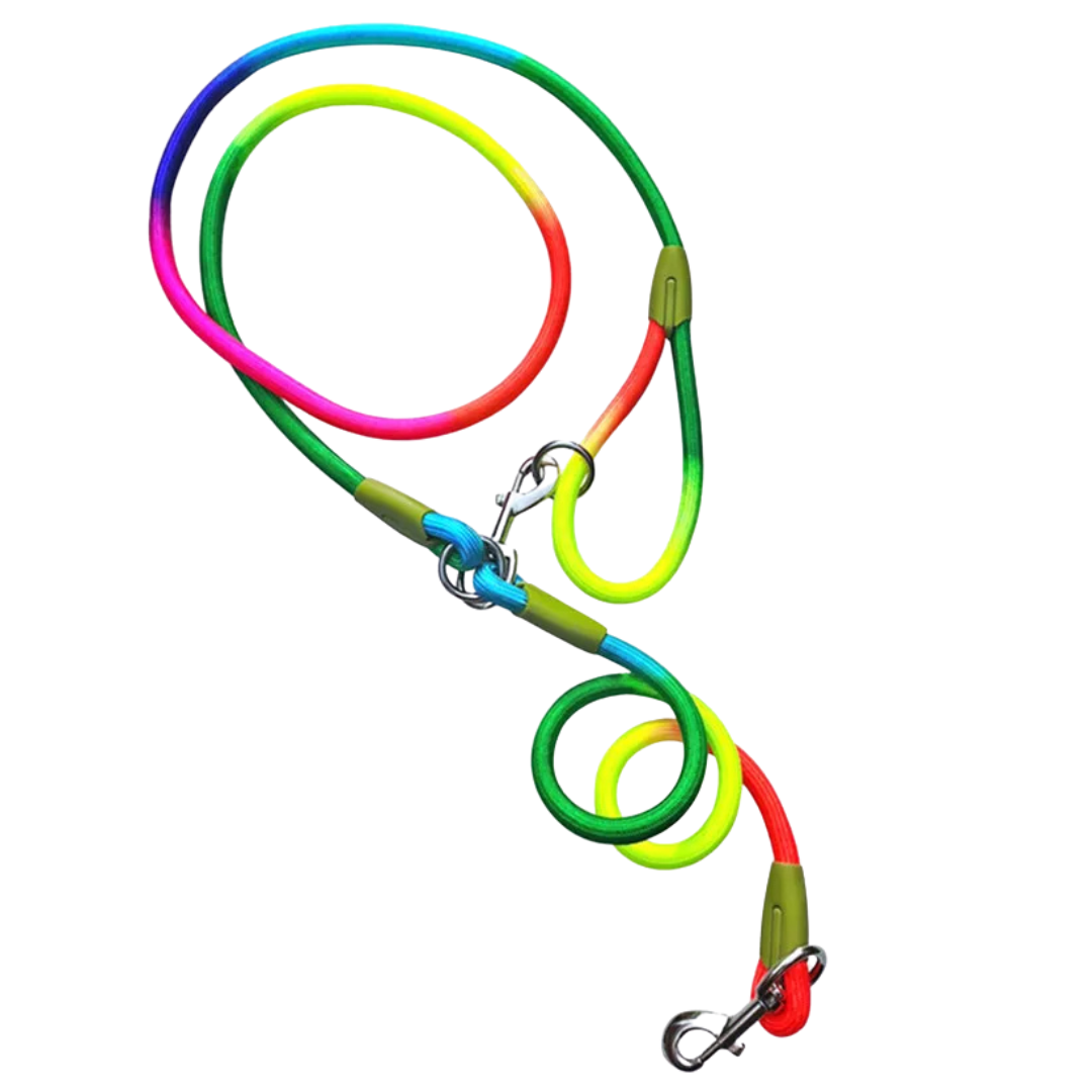 Hands-Free Dog Leash with Thick & Reflective Rope for Larger Breeds | Dog Leash for Running & Walking 3
