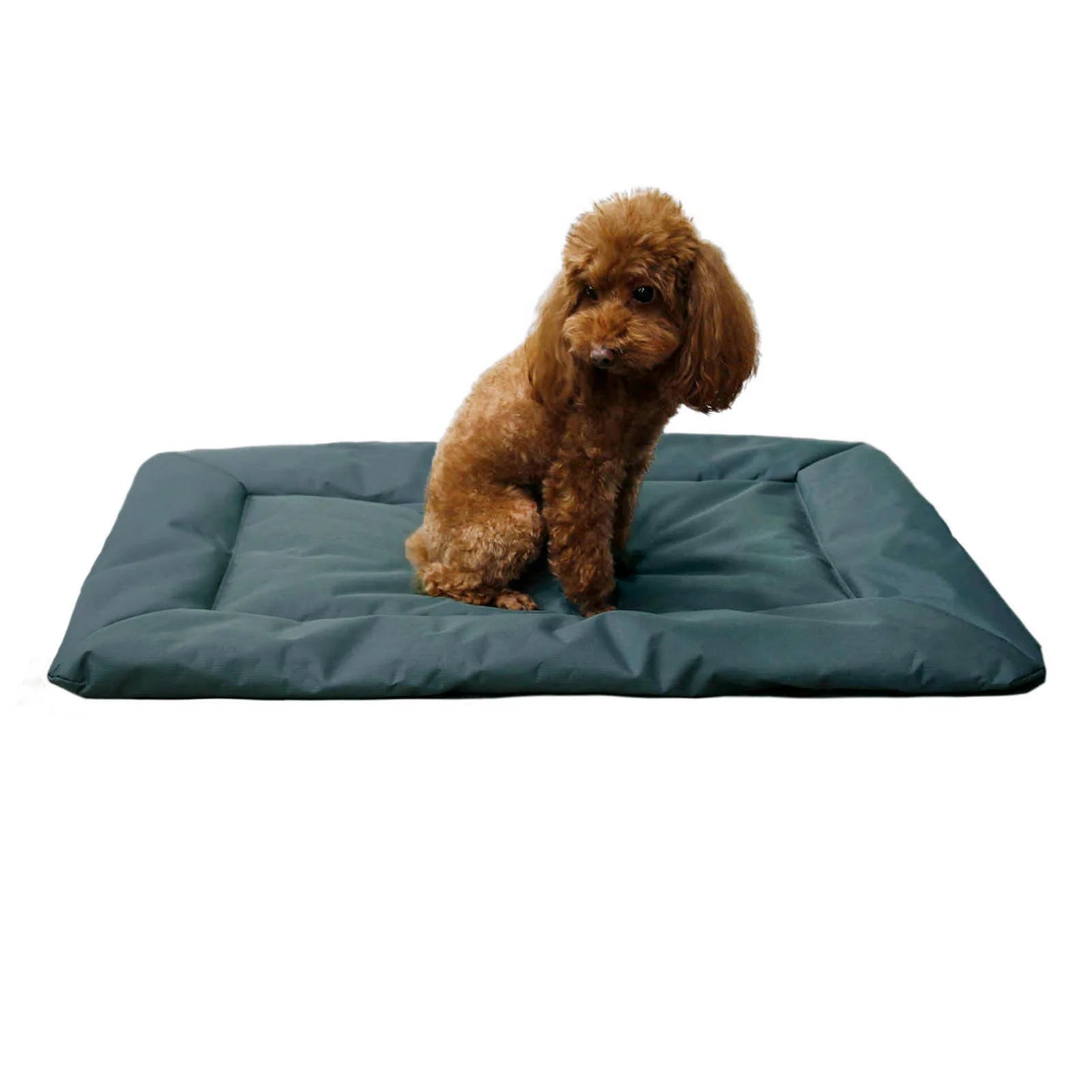 Portable Waterproof Dog Travel Mat | Scratch-Resistant 2