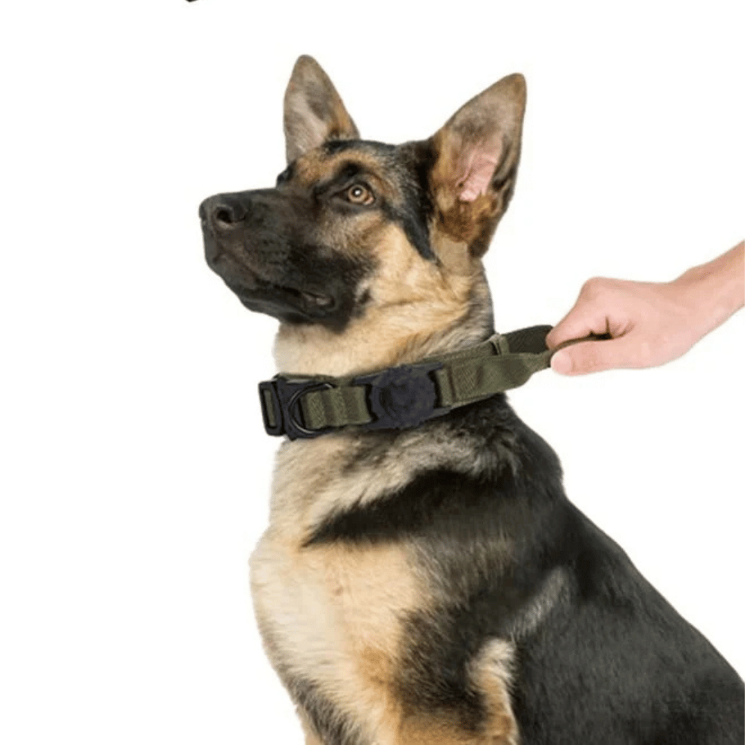 Heavy Duty Military-Style AirTag Holder Dog Collar | Tactical Air Tag Holder Collar 11