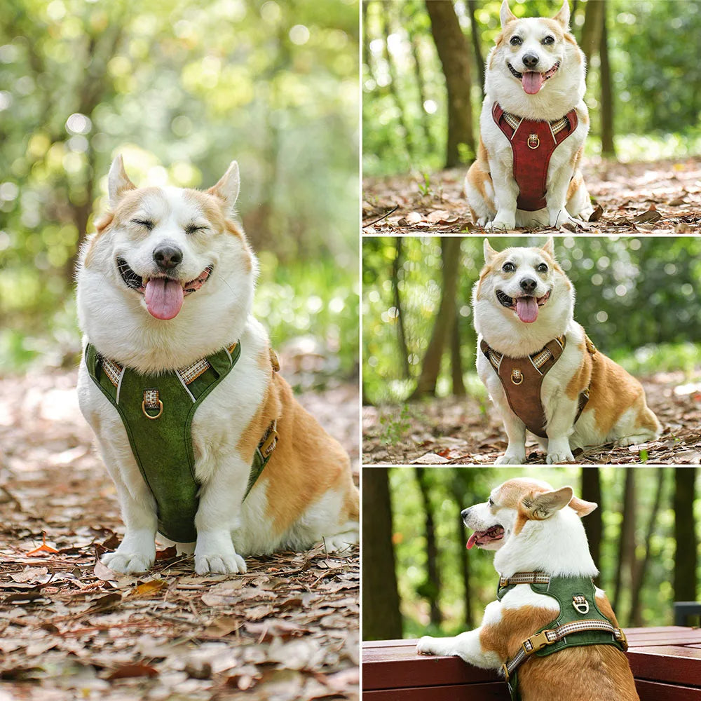 Durable & Supportive Dog Harness with Reflective Straps & Close-Control Handle 13