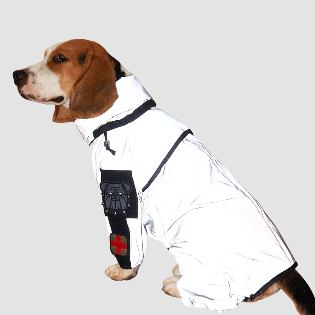 Reflective Full Body Dog Jacket with Adjustable Snood | Waterproof Dog Raincoat Jumpsuit