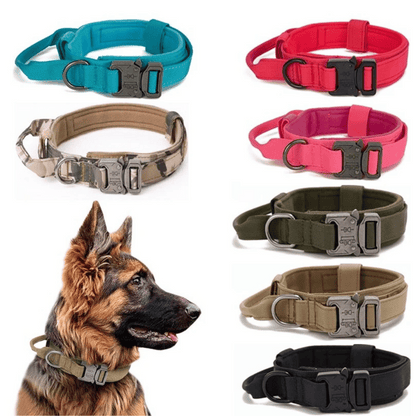 Heavy Duty Military-Style Tactical Dog Collar 26