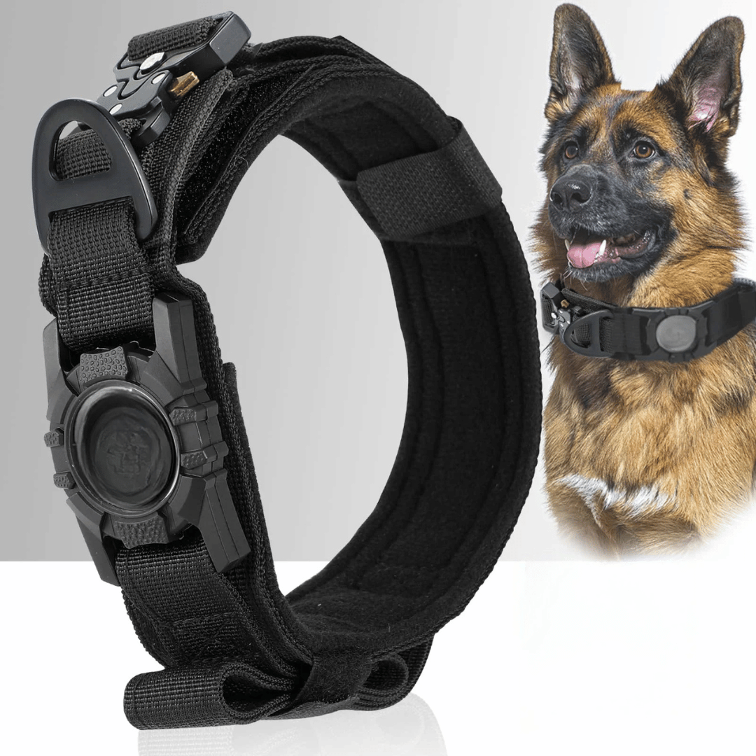 Heavy Duty Military-Style AirTag Holder Dog Collar | Tactical Air Tag Holder Collar 10