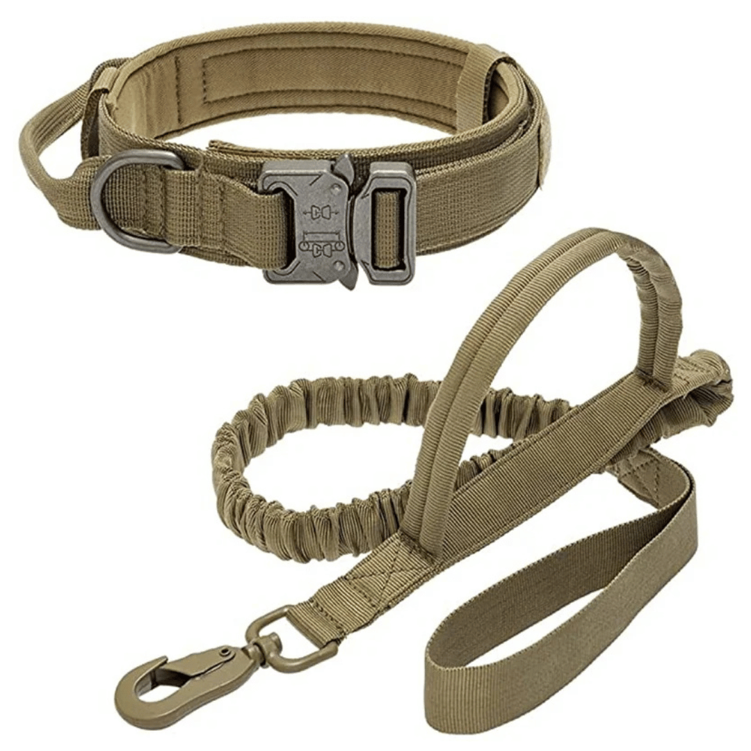 Heavy Duty Military-Style Tactical Dog Collar & Leash for Large & XL Dogs 2