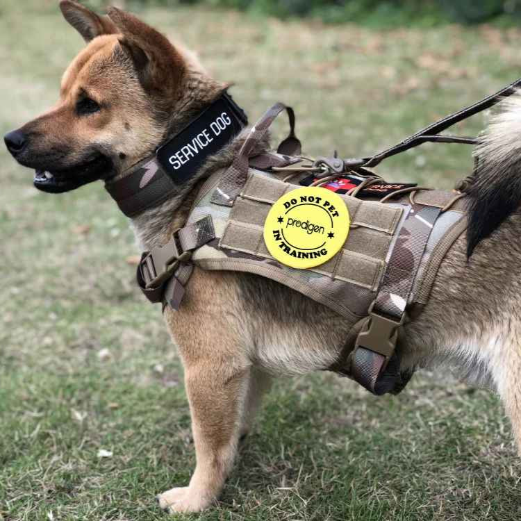 Large Dog Military-Style Dog Harness with Collar, Leash & Pouch Set | Tactical Dog Training Vest 24