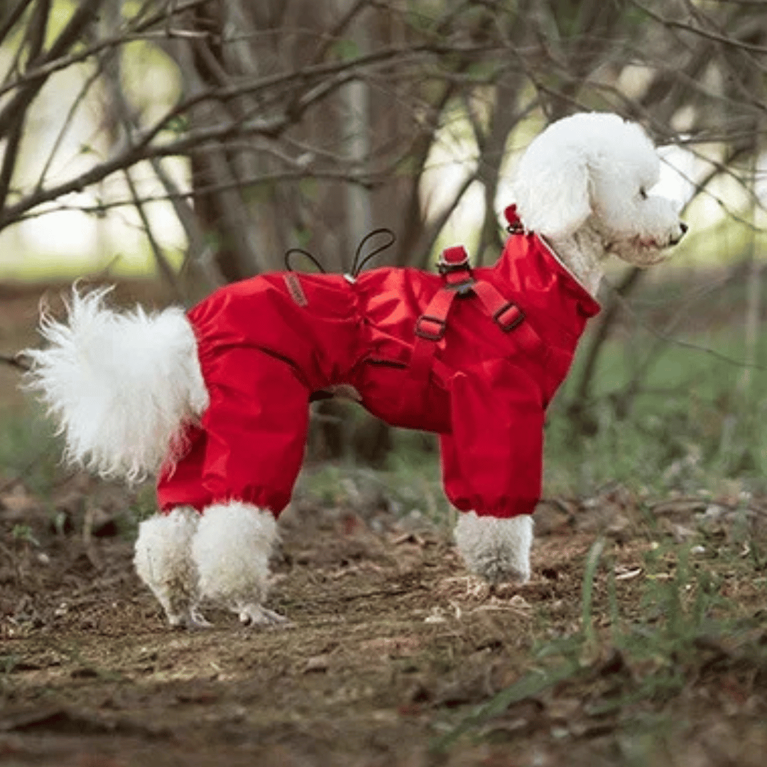 Waterproof Dog Jacket Jumpsuit with Built-In Harness
