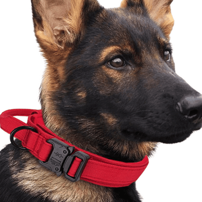 Heavy Duty Military-Style Tactical Dog Collar 4