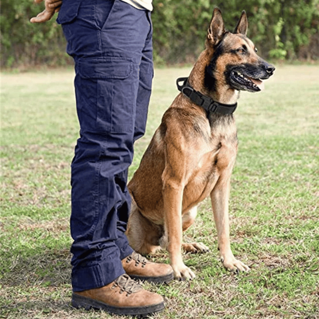 Heavy Duty Military-Style Tactical Dog Collar 28