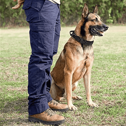 Heavy Duty Military-Style Tactical Dog Collar 28