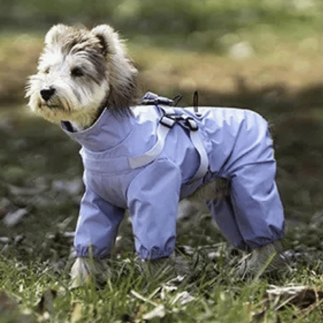 Waterproof Dog Jacket Jumpsuit with Built-In Harness