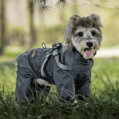 Waterproof Dog Jacket Jumpsuit with Built-In Harness