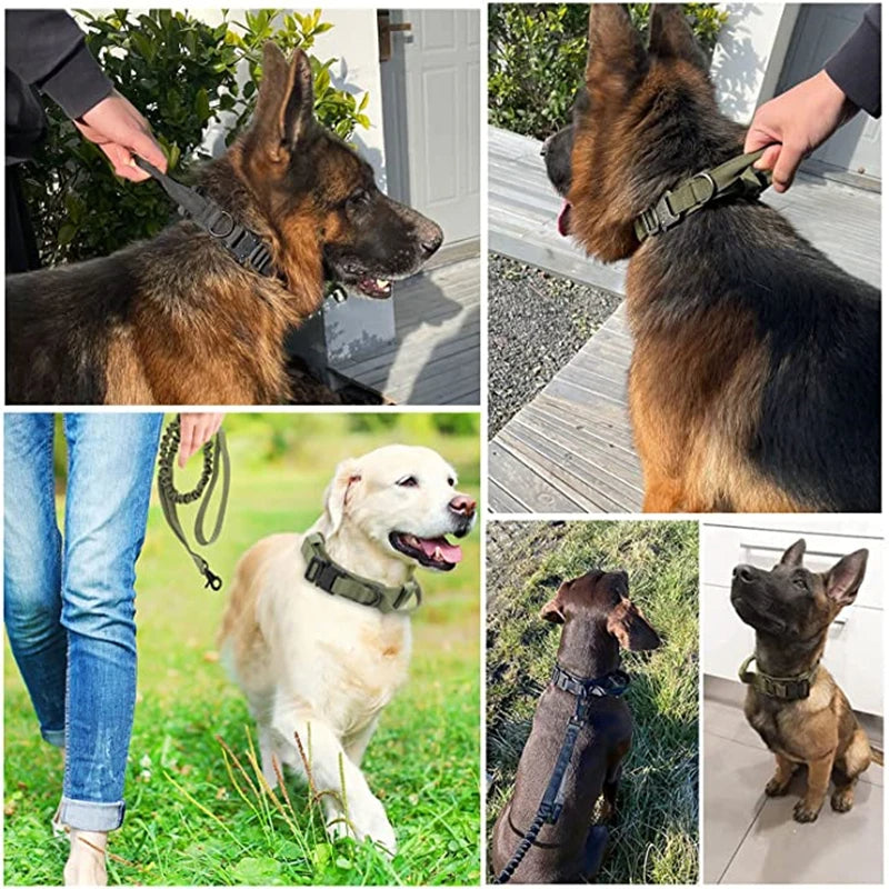 Heavy Duty Military-Style Tactical Dog Collar 23