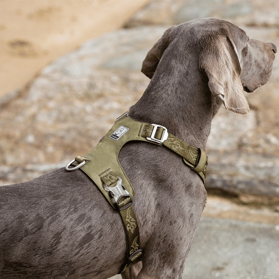 Lightweight & Waterproof Tactical Dog Harness 1