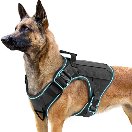 Sturdy Dog Harness with Reflective Piping & Metal Buckles | Tactical Dog Training Vest