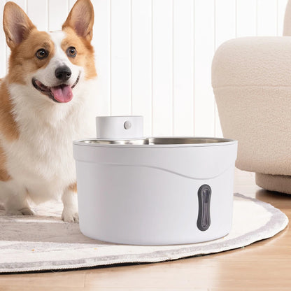 Pet Water Fountain for Fresh Flowing Water for Cats & Dogs | Plug-In & USB Rechargeable 1