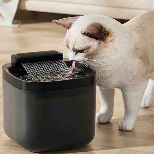 3L USB Rechargeable Cat Water Fountain & Fliter