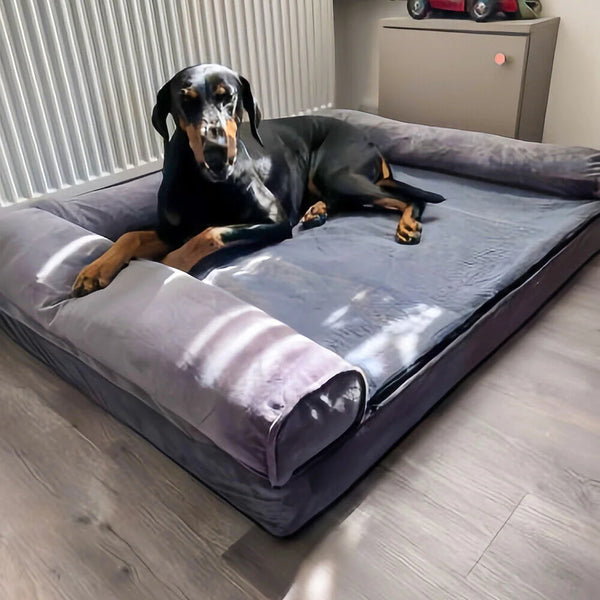 Happy Tailzy customer photo 2