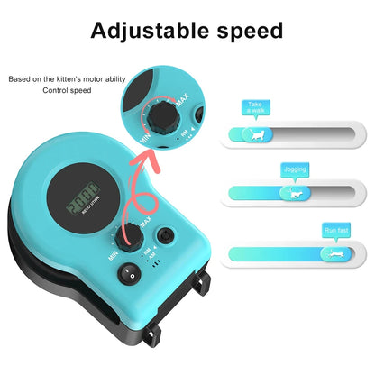 Interactive Cat Hunting Toy | Motion-Based Exercise Game for Indoor Cats