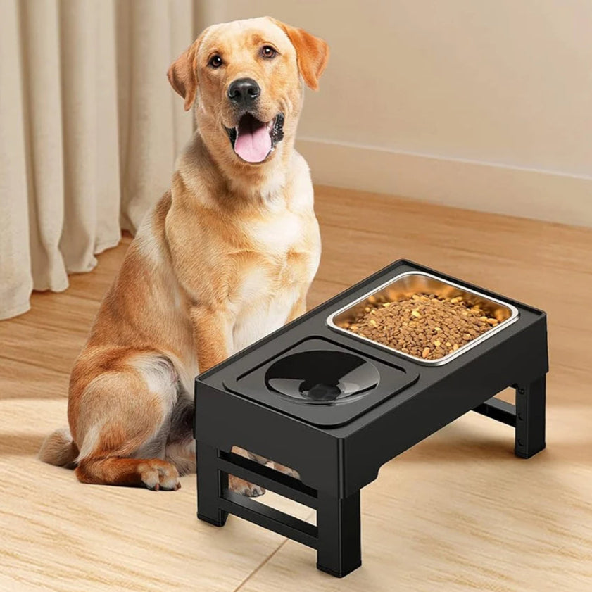 Sturdy & Adjustable Elevated Dog Feeding Station with 1.6L Stainless Steel Food Bowl & Spill-Resistant 1L Water Bowl 2