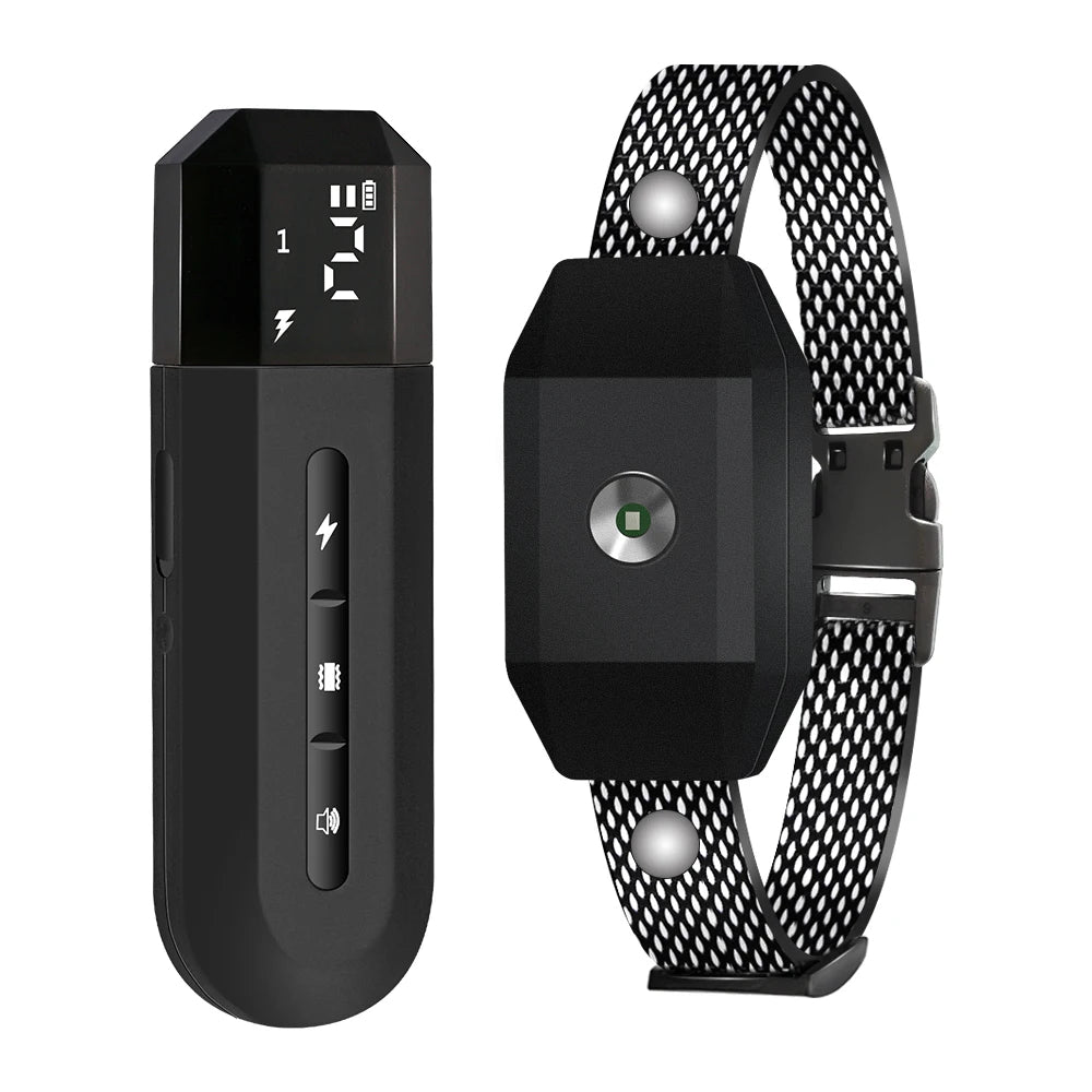 800m Smart Dog Training Collar with Remote Control | USB Rechargeable & Waterproof 6
