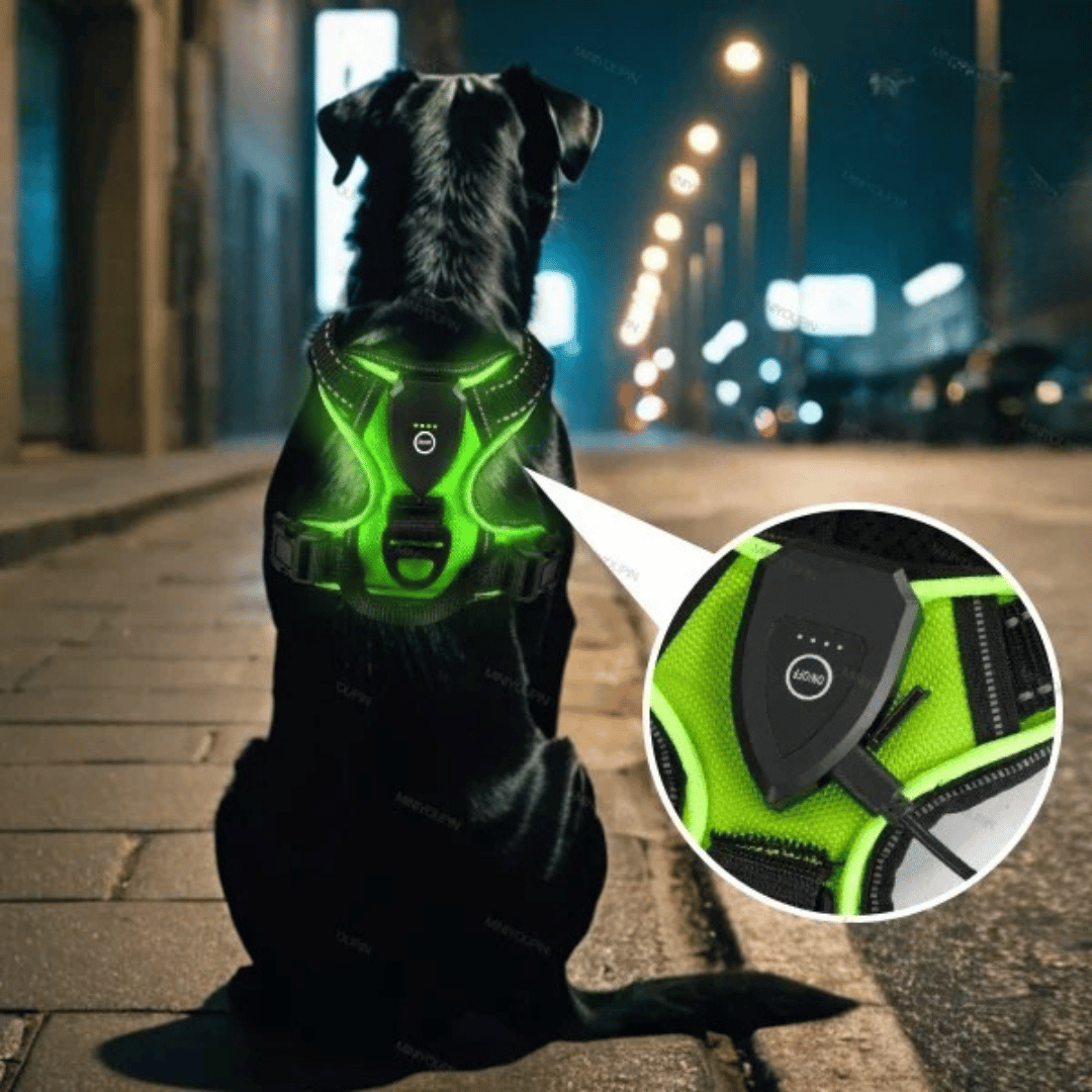 Bright LED Dog Harness for Safe Walking At Night | USB Rechargeable 13
