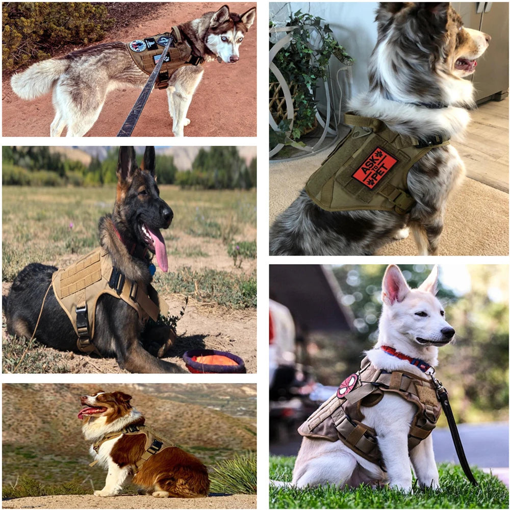 Heavy-Duty Military-Style Dog Harness with Handle for Large Dogs 20