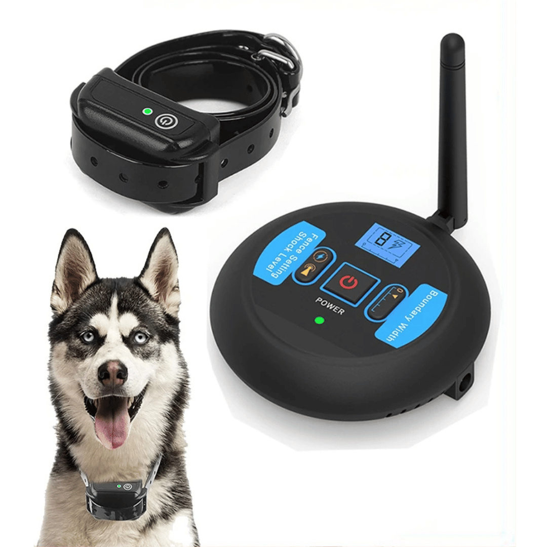 200m Wireless Dog Fence Training Collar 1