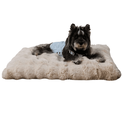 Cloud Comfort Giant & XXL Dog Bed Pillow with Ultra Soft Plush & Washable Cover