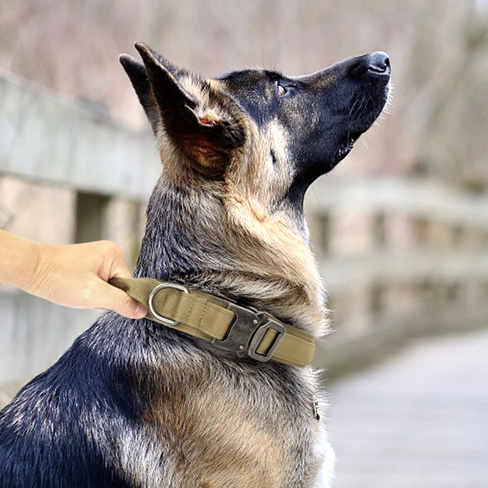 Heavy Duty Military-Style Tactical Dog Collar 9