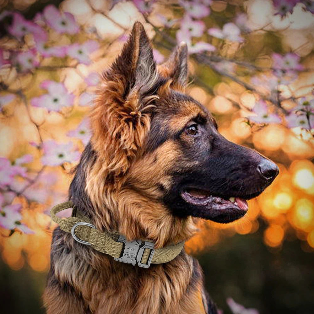 Heavy Duty Military-Style Tactical Dog Collar 25