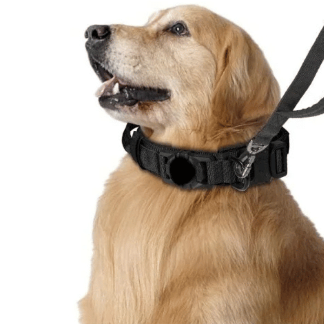 Heavy Duty Military-Style AirTag Holder Dog Collar & Leash | Tactical Air Tag Holder Dog Collar & Lead 8