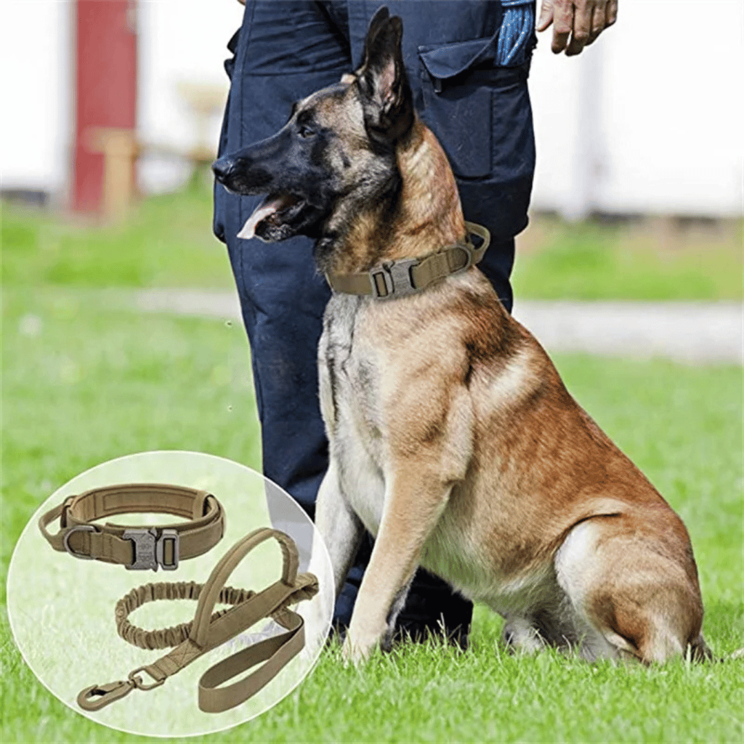 Heavy Duty Military-Style Tactical Dog Collar & Leash for Large & XL Dogs 24
