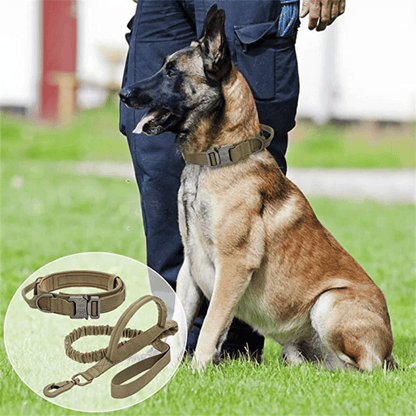 Heavy Duty Military-Style Tactical Dog Collar & Leash for Large & XL Dogs 24