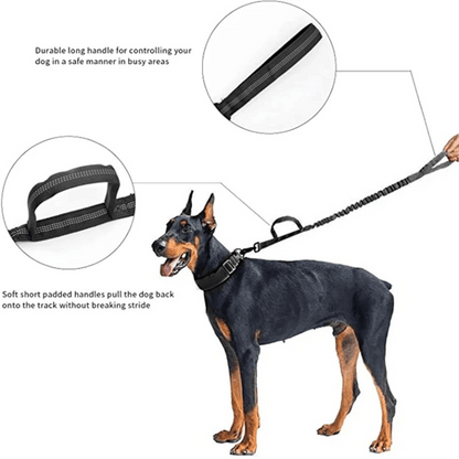 Heavy Duty Military-Style Tactical Dog Collar & Leash for Large & XL Dogs 21