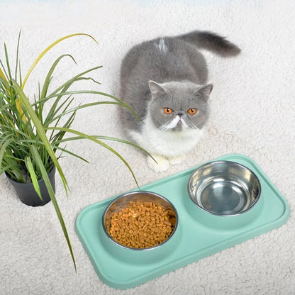 Double Stainless Steel Dog Bowls & No-Flip Tray