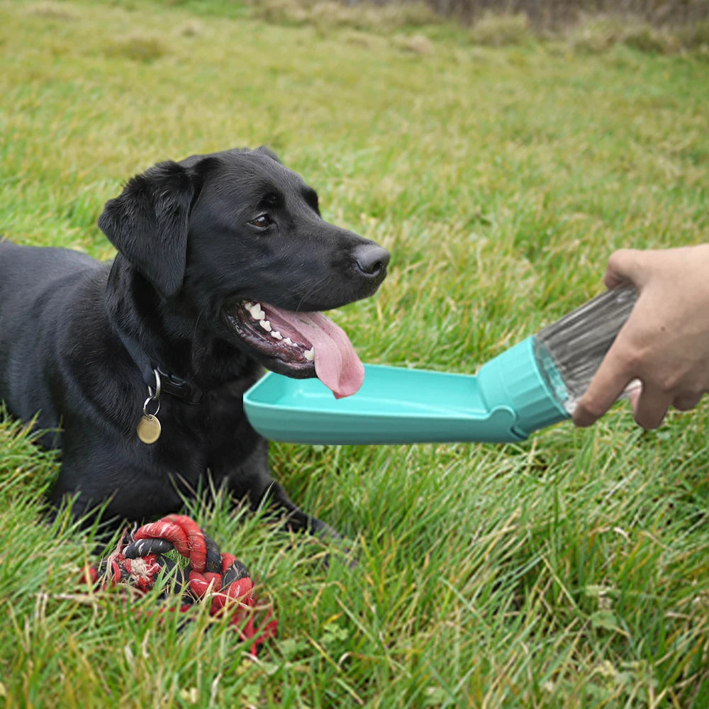 Large Portable Dog Water Bottle for Dogs of All Sizes | 550ml