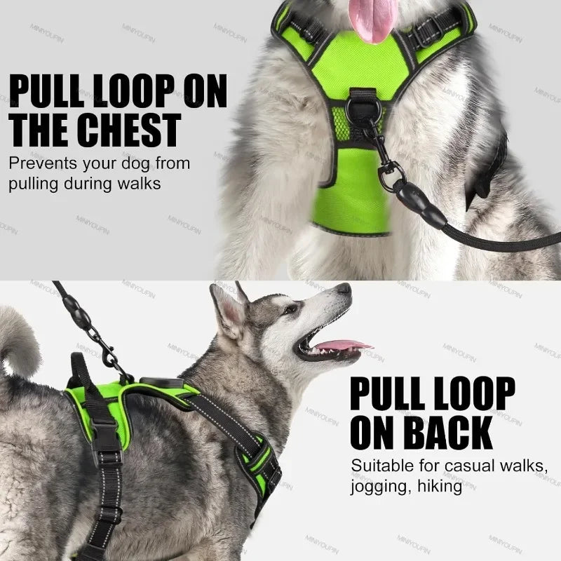 Bright LED Dog Harness for Safe Walking At Night | USB Rechargeable 3